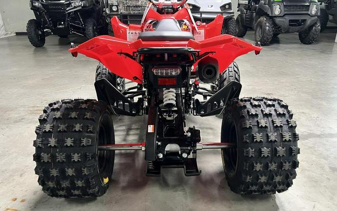 2026 Kayo Storm 300 EFI
