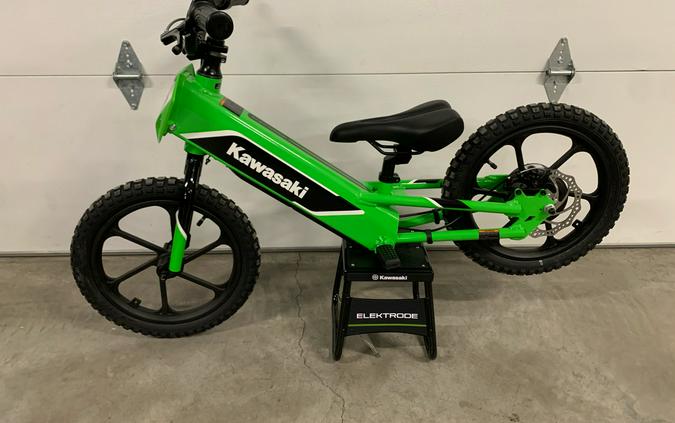 2023 Kawasaki Elektrode