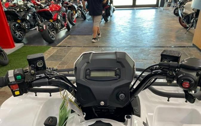 2025 Kawasaki Brute Force® 450 4x4