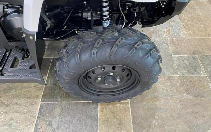 2025 Kawasaki Brute Force® 450 4x4