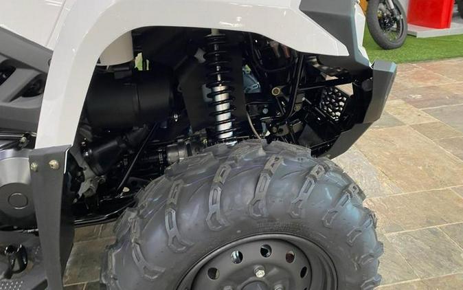 2025 Kawasaki Brute Force® 450 4x4