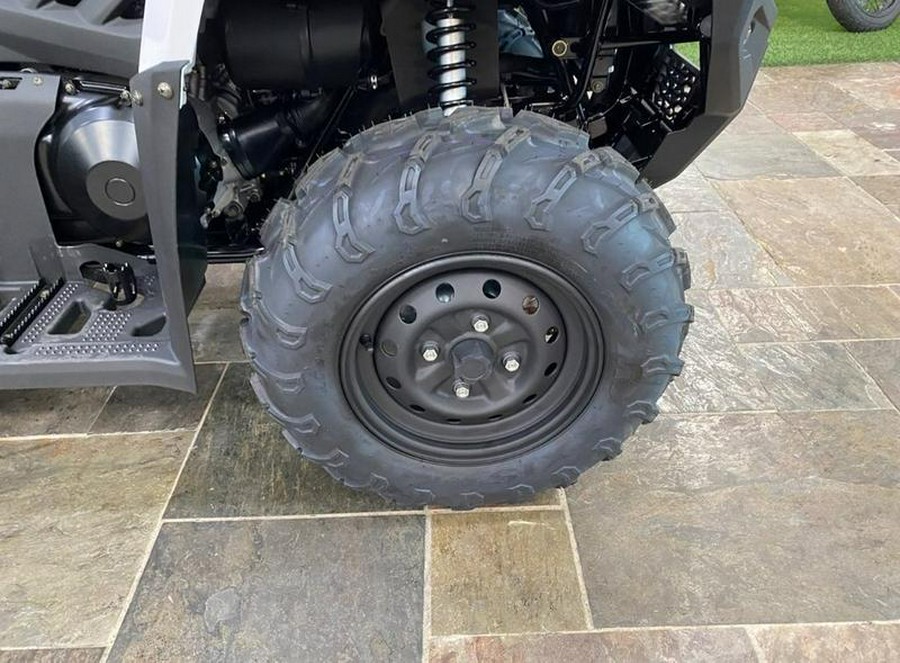 2025 Kawasaki Brute Force® 450 4x4