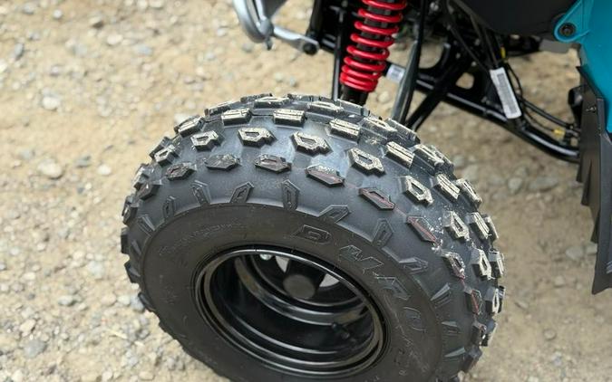 2026 Can-Am Renegade 110 EFI