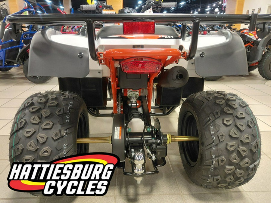 2026 Kayo Bull 150 EFI