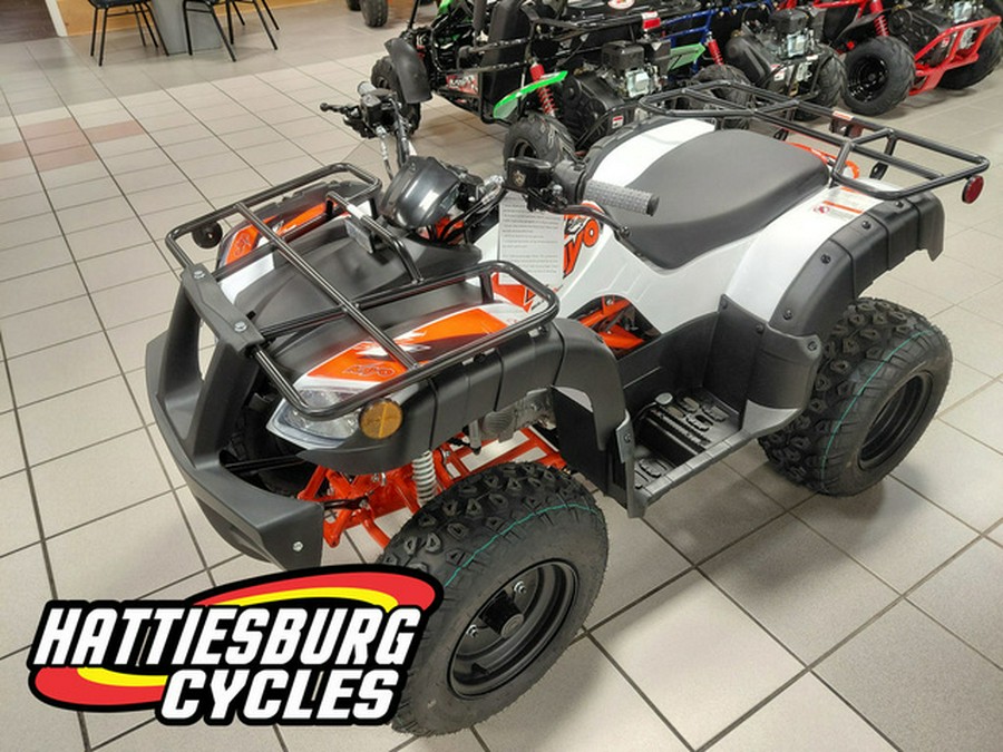 2026 Kayo Bull 150 EFI