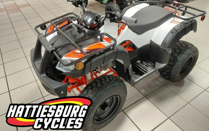 2026 Kayo Bull 150 EFI