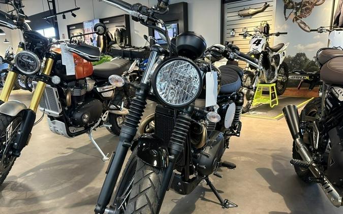 2025 Triumph Scrambler 900 Base