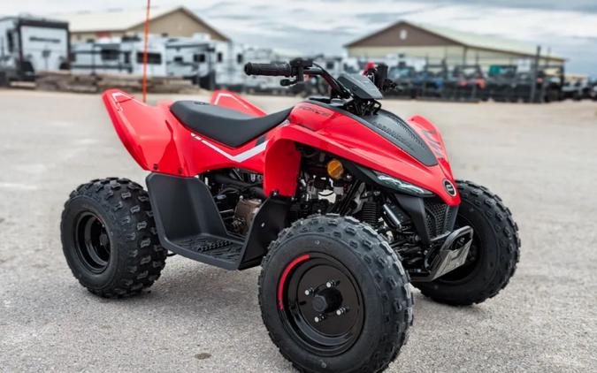 2024 CFMOTO CFORCE 110