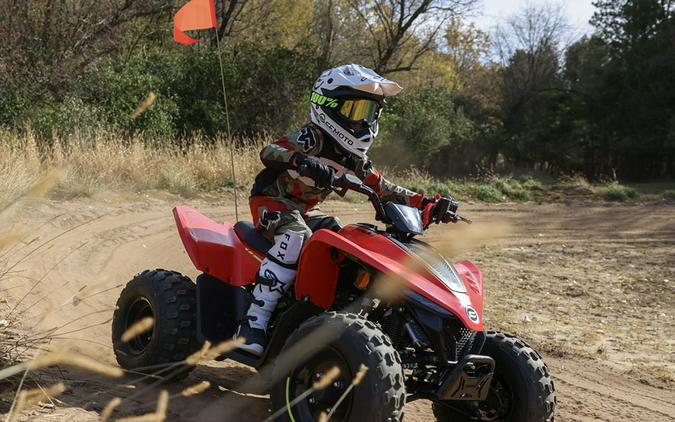 2024 CFMOTO CFORCE 110