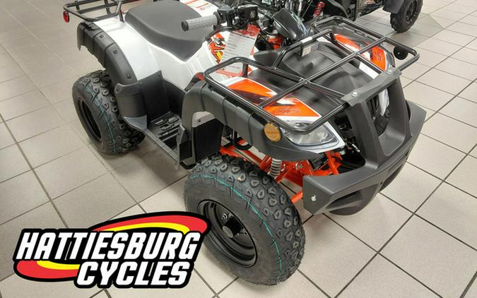 2026 Kayo Bull 150 EFI