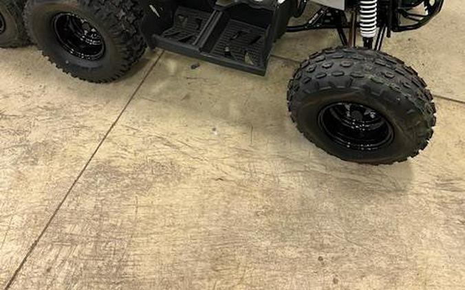 2025 Polaris Industries Outlaw® 110 EFI