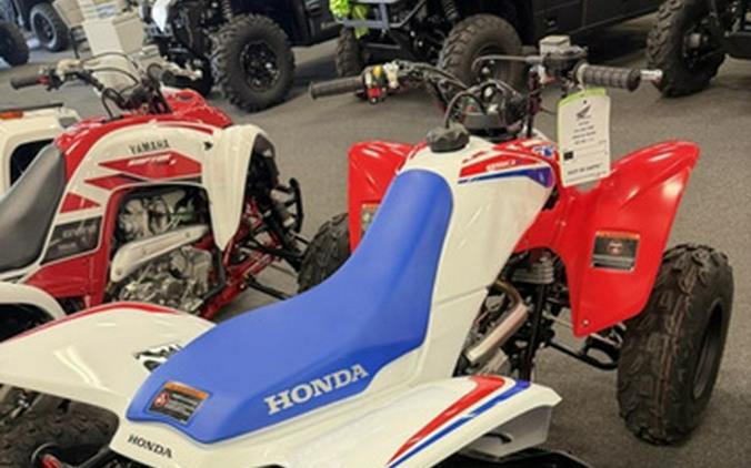 2026 Honda TRX 250X