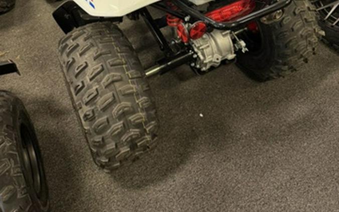 2026 Honda TRX 250X