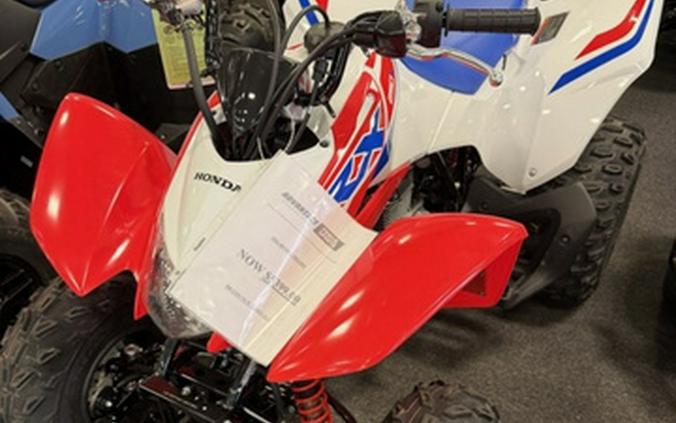 2026 Honda TRX 250X