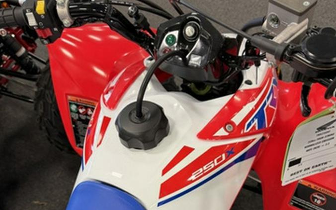 2026 Honda TRX 250X