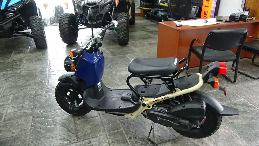 2023 Honda Ruckus