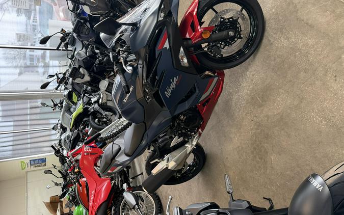 2026 Kawasaki Ninja® 500 ABS