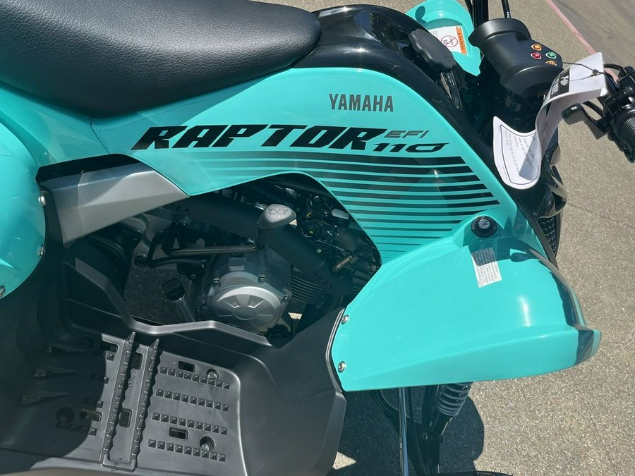 2025 Yamaha YFM01RYXSG