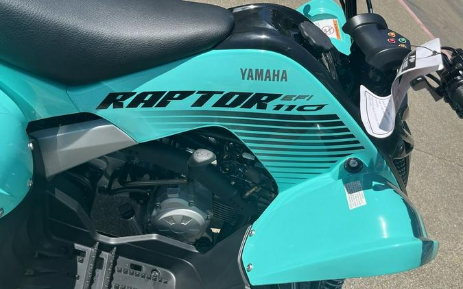 2025 Yamaha YFM01RYXSG