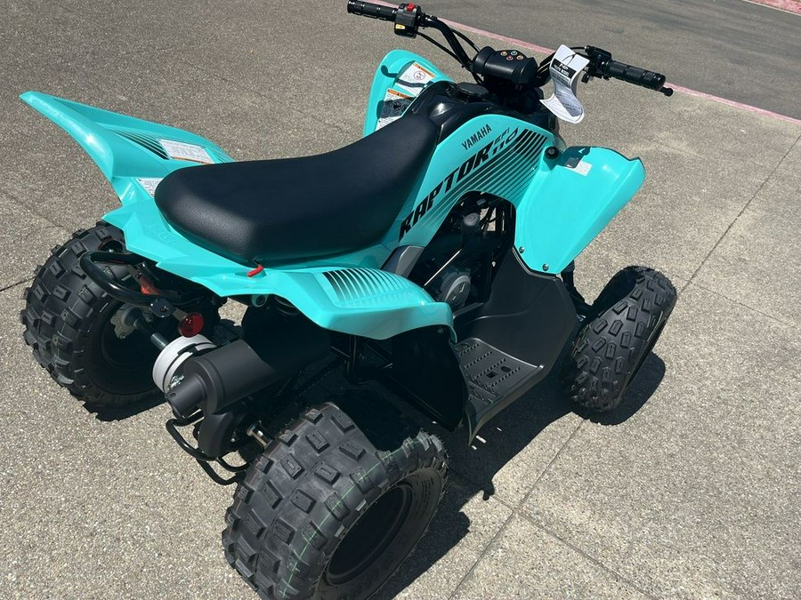 2025 Yamaha YFM01RYXSG