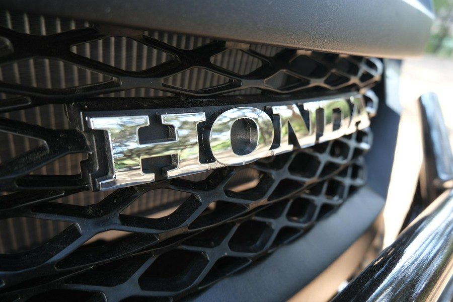 2025 HONDA PIONEER 700