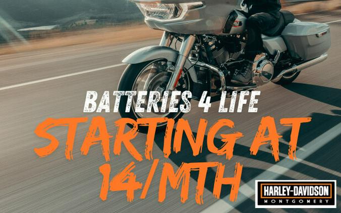 2025 Harley-Davidson® Street Glide® Mystic Shift