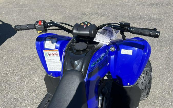 2025 Yamaha YFM01RYXSL