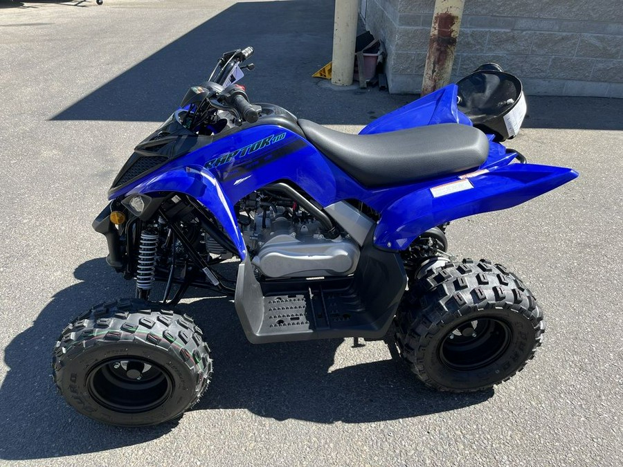 2025 Yamaha YFM01RYXSL