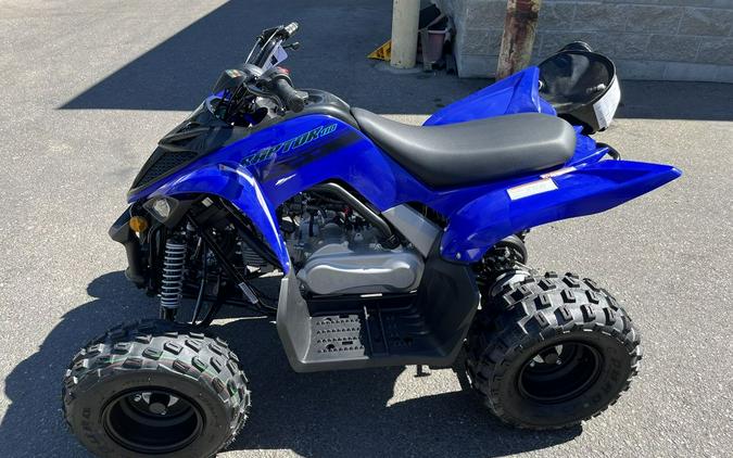 2025 Yamaha YFM01RYXSL