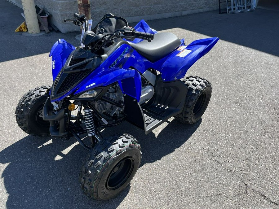 2025 Yamaha YFM01RYXSL