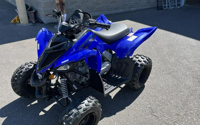 2025 Yamaha YFM01RYXSL