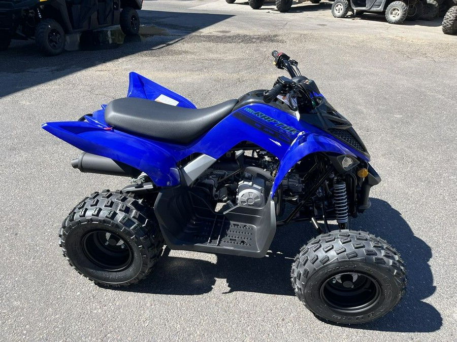 2025 Yamaha YFM01RYXSL