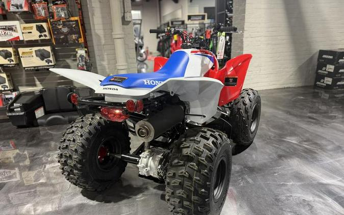 2026 Honda® TRX250X
