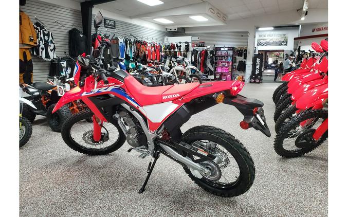 2023 CRF 300L - Honda