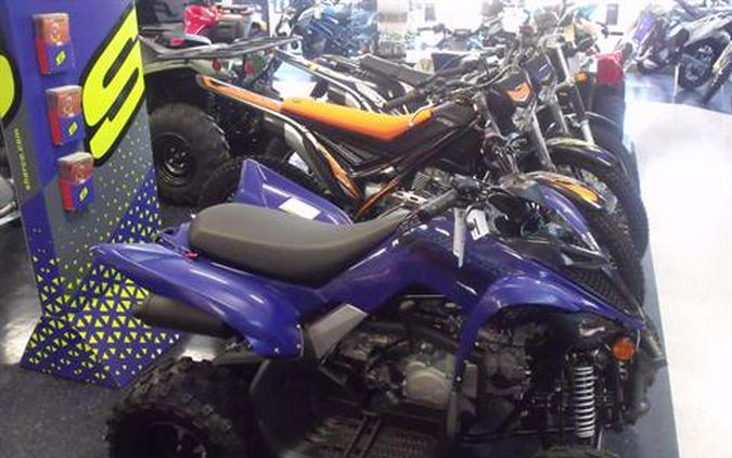 2024 Yamaha Raptor 110