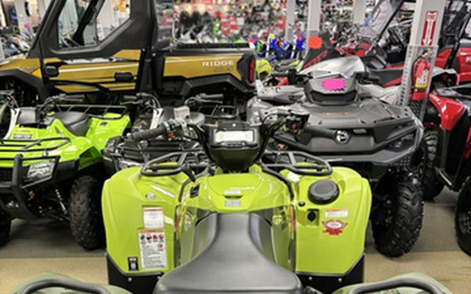 2026 Yamaha Grizzly EPS