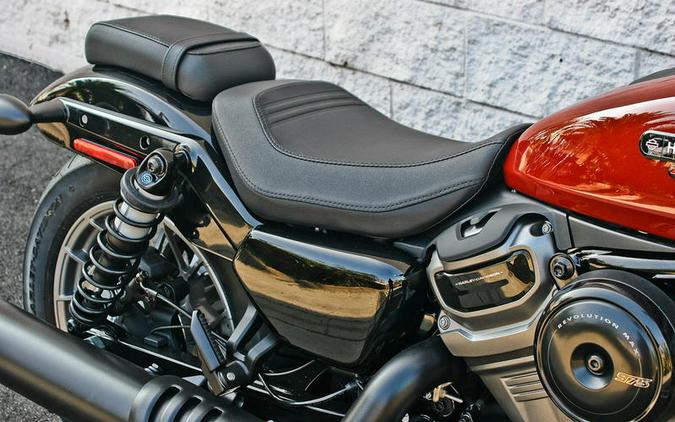 2024 Harley-Davidson® RH975S - Nightster® Special