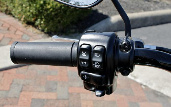 2024 Harley-Davidson Freewheeler Trike FLRT