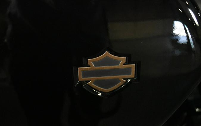 2023 Harley-Davidson Low Rider ST