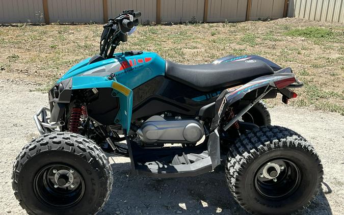2026 Can-Am RENEGADE 110