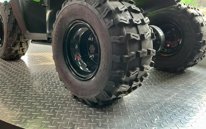 2026 Kawasaki KFX 90