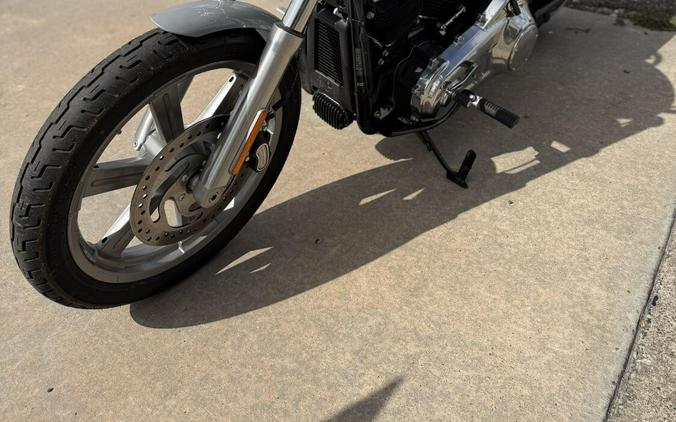 2024 Harley-Davidson Softail Standard Billiard Gray