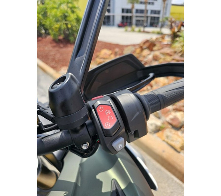 2024 TRIUMPH Tiger 1200 Rally Explorer Matt Khaki Green