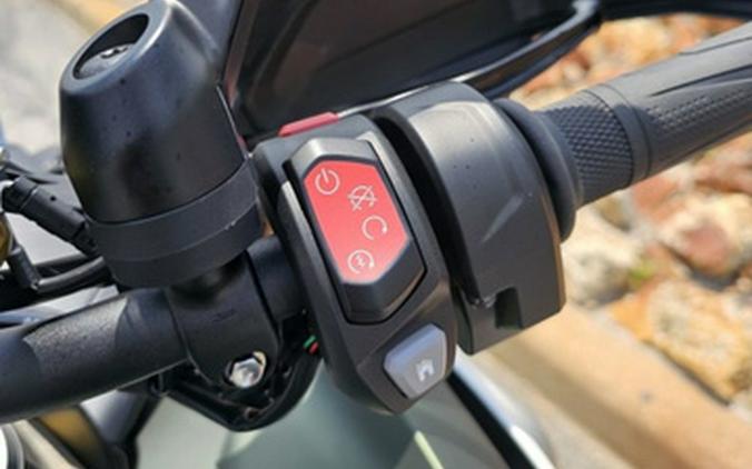 2024 TRIUMPH Tiger 1200 Rally Explorer Matt Khaki Green