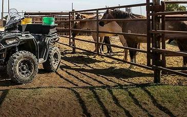 2025 Polaris Sportsman® 450 H.O.