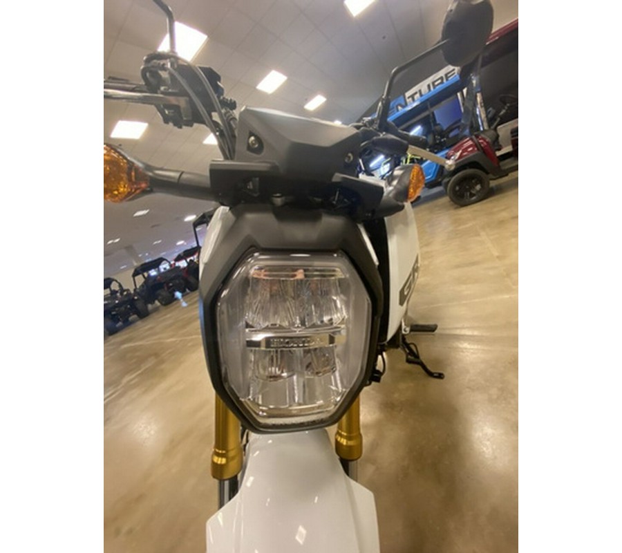 2025 Honda Grom