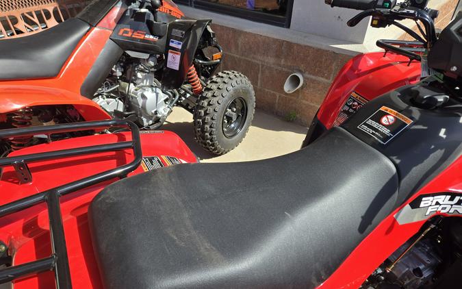 2026 KAWASAKI BRUTE FORCE 300