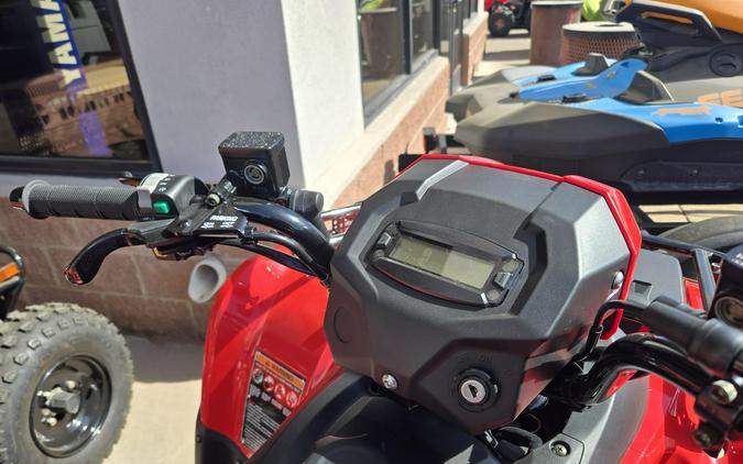 2026 KAWASAKI BRUTE FORCE 300