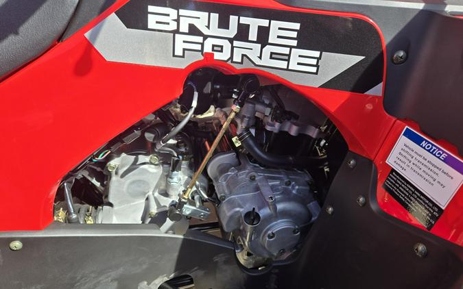 2026 KAWASAKI BRUTE FORCE 300