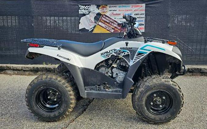 2023 Kawasaki Brute Force 300